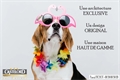 Image du bien UBI457803536